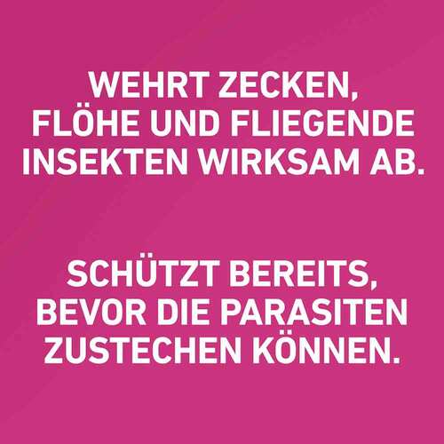 FRONTLINE TRI-ACT gegen Zecke, Floh und fliegende Insekten bei Hunden (40-60kg) - 2