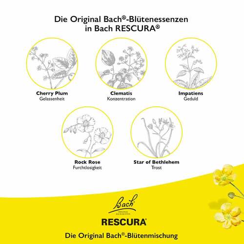 Bachbl&uuml;ten Original Rescura Kids Tropfen alkoholfrei - 5