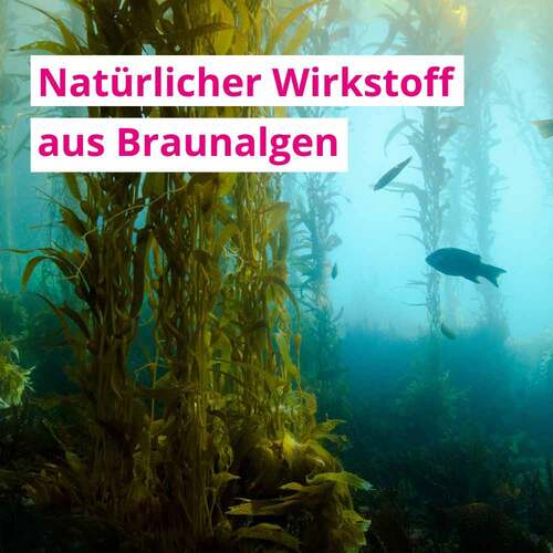 Fluxan Kautabletten - 2