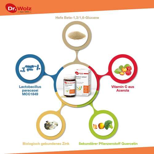 Immun Select Dr. Wolz Kapseln - 5