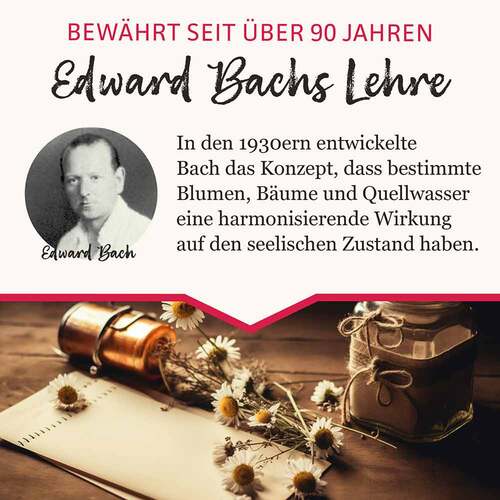 BB Gute Energie Tropfen - 5