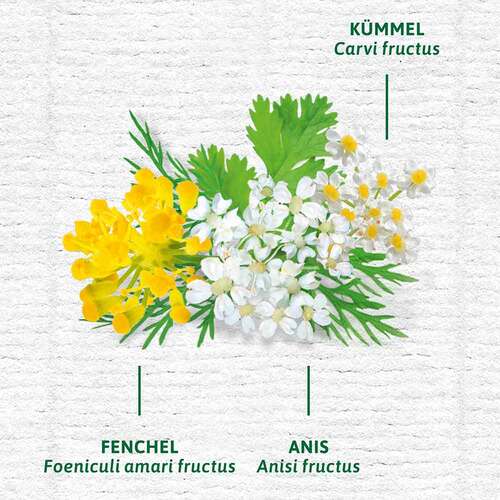 Bad Heilbrunner Bio Magen- und Darm Tee Pyr.Beutel  - 2