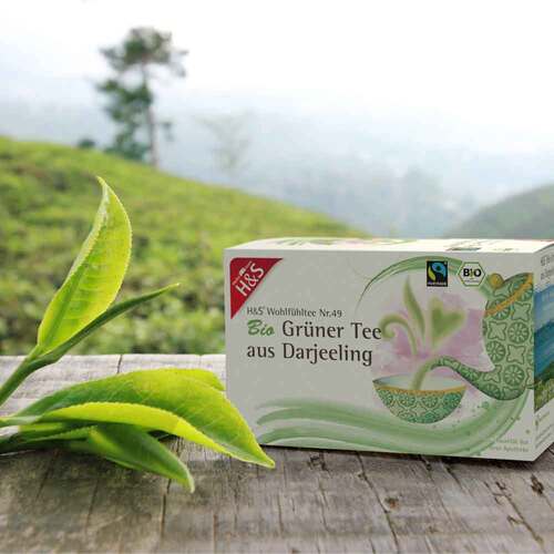H&S Bio Gr&uuml;ner Tee aus Darjeeling Filterbeutel - 3