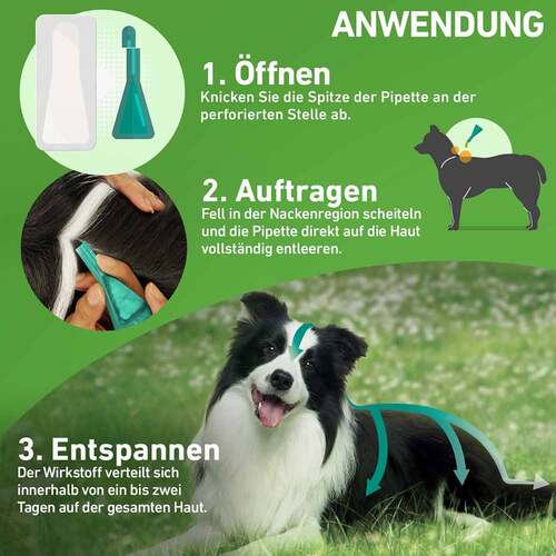 FRONTLINE COMBO gegen Zecken, Fl&ouml;he bei Hunden M (10-20 kg) - 3