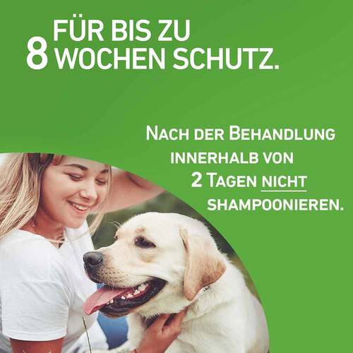 FRONTLINE COMBO gegen Zecken, Fl&ouml;he bei Hunden L (20-40 kg) - 5