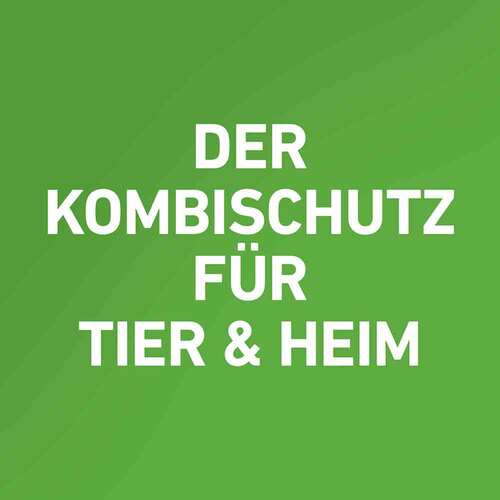 FRONTLINE COMBO SPOT ON Katze - 2