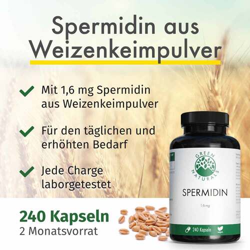 Green Naturals Spermidin 1,6 mg vegan Kapseln - 2