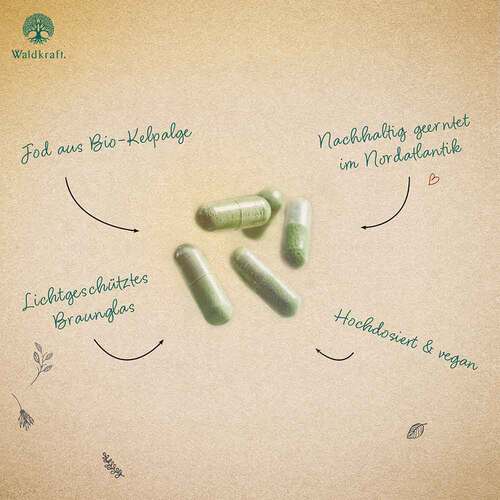 Kelpalgen-Jod Bio Kapseln Erdling - 3