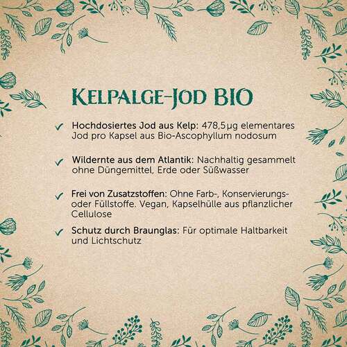 Kelpalgen-Jod Bio Kapseln Erdling - 4