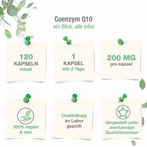 Coenzym Q10 Ubichinon Komplex 200 mg vegan Kapseln - 3