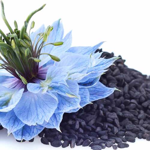 VerdauungsHIT Tabletten Dr. Jacob`s - 4