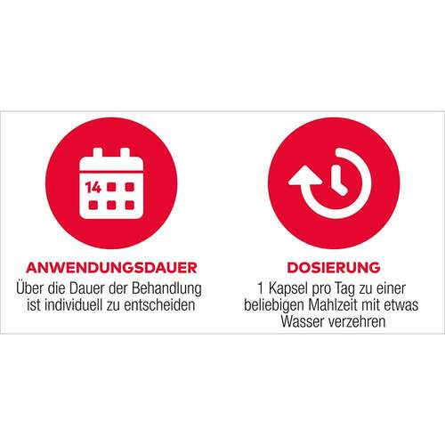 D3 + K2 Vit AL 4000 I.E. / 80 µg Kapseln - 2