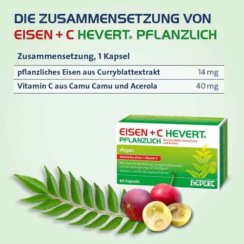 Eisen + C Hevert pflanzlich Kapseln - 2