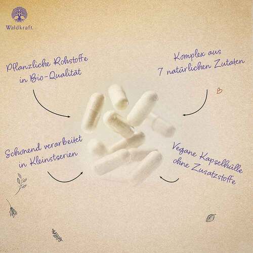 Lungenkraut Komplex MSM NAC vegan Kapseln Erdling - 3
