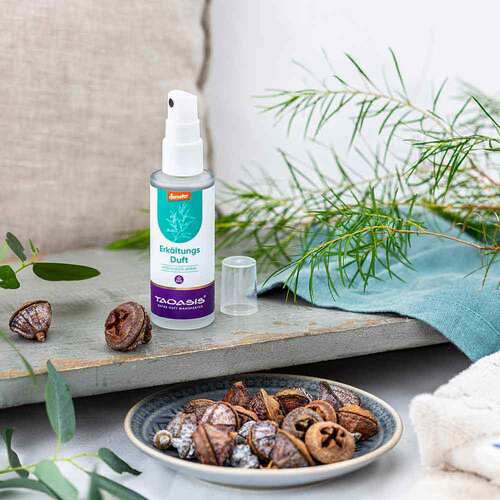 Taoasis Kopfkissenspray Erk&auml;ltungsduft demeter - 2
