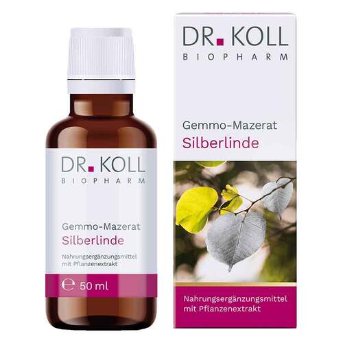 Gemmo Mazerat Silberlinde Dr. Koll Tilia tomentosa - 1