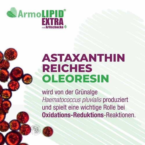 Armolipid Extra Tabletten mit Artischocke - 7