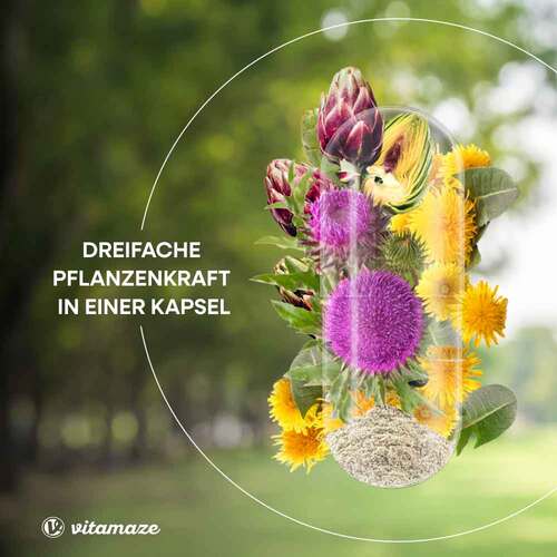 Mariendistel Komplex Artischocke + L&ouml;wenzahn veg.Kps - 4