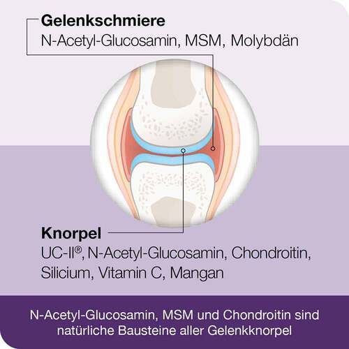 Flexiloges Knorpel aktiv Kapseln - 4