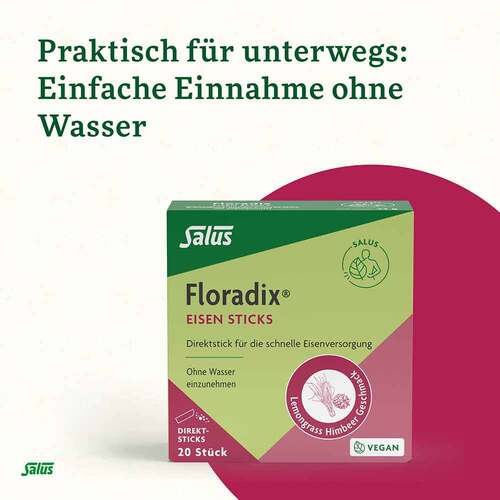 Floradix Eisen Sticks Pulver Salus - 3