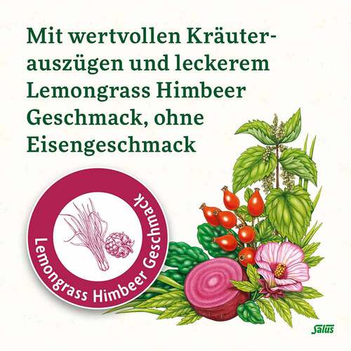 Floradix Eisen Sticks Pulver Salus - 4