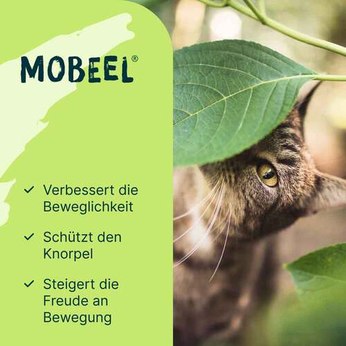 Mobeel Erg&auml;nzungsfuttermittel Pulver f&uuml;r Hunde / Katzen - 3