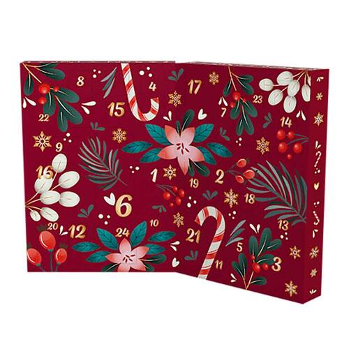 DE Adventskalender 2024 - 1