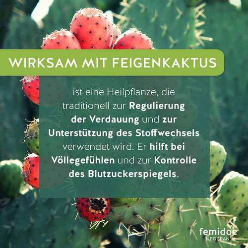Femidoc Lipogran Tabletten - 4