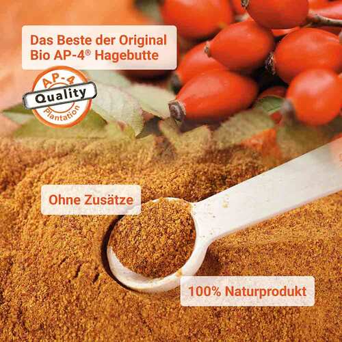 Raab Vitalfood Hagebutte Bio Pulver - 3