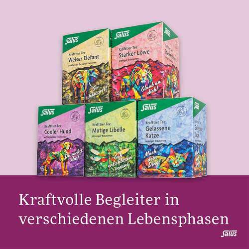 Krafttier Tee Cooler Hund Bio Salus Filterbeutel - 5