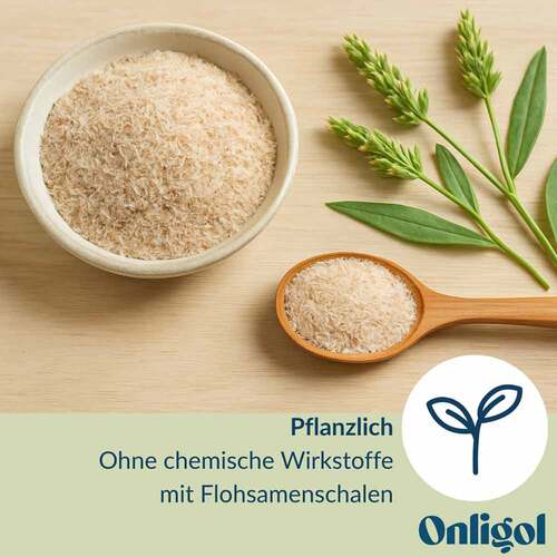 Onligol Fiber Pulver - 4