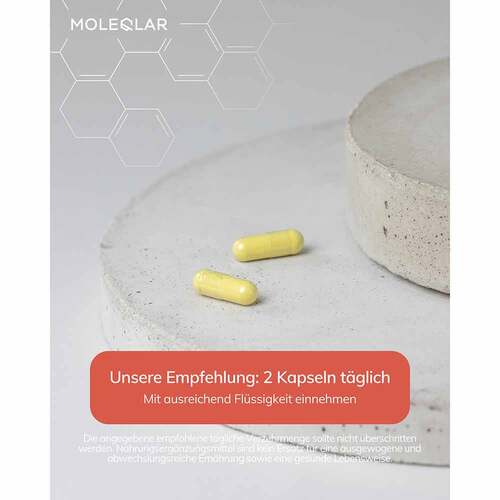 Moleqlar Fisetin Flavonoid Extract Kapseln - 3