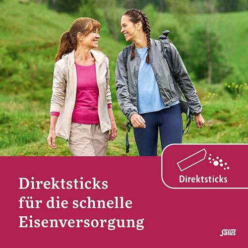 Salus Floradix Eisen Sticks Pulver - 2