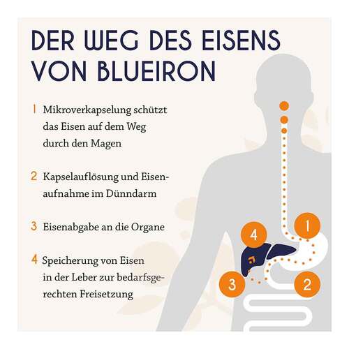 Blueiron Eisentropfen + Vitamin C - 4