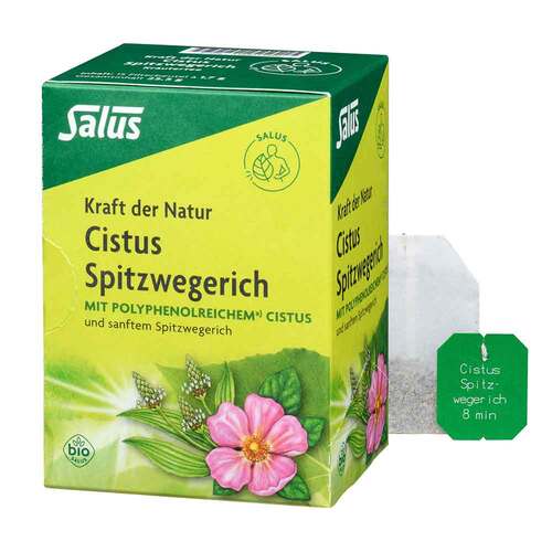 Cistus Spitzwegerich Tee Bio Filterbeutel - 1