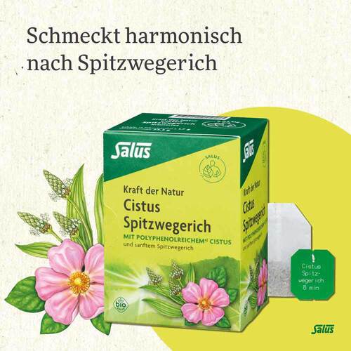 Cistus Spitzwegerich Tee Bio Filterbeutel - 4