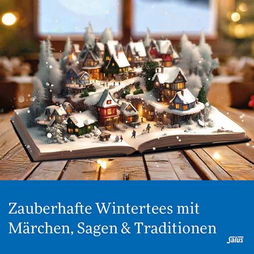 Polarzauber Fr&uuml;chte-Gew&uuml;rztee Bio Salus Filterbeutel  - 2