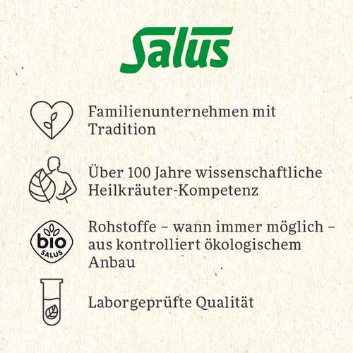 Polarzauber Fr&uuml;chte-Gew&uuml;rztee Bio Salus Filterbeutel  - 6